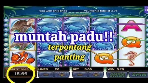 Padu Tipis 2X Free Spin Dolphin Reef Muntah Tipis Myyearonyoutube