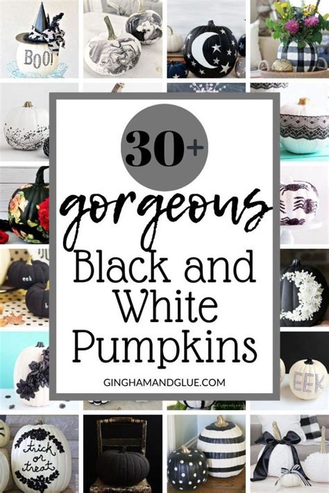 Black And White Pumpkin Painting Ideas White Pumpkins Painted