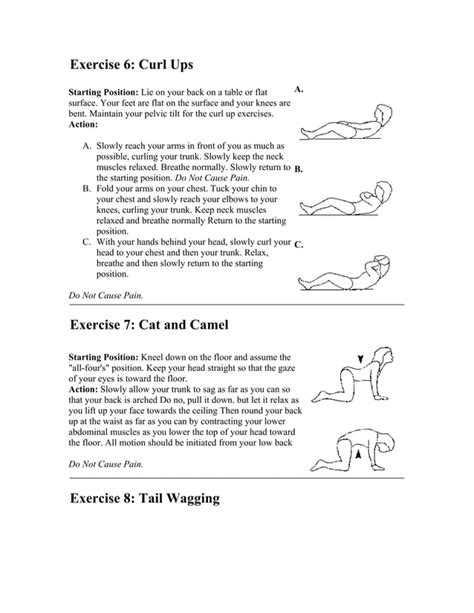 Low Back Exercise Pdf