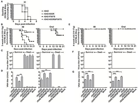 Frontiers Change In The Single Amino Acid Site In Rabies Virus