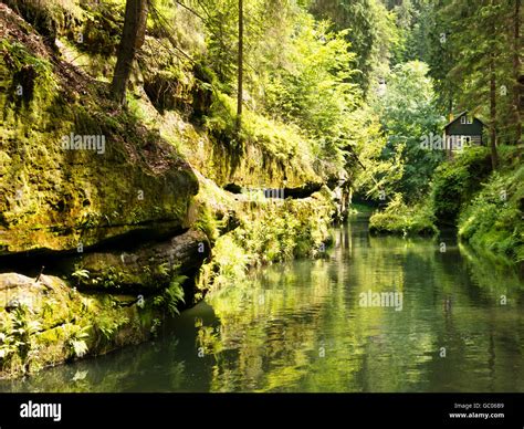 Wilde Klamm Und Edmundsklamm In Der B Hmischen Schweiz Stock Photo Alamy