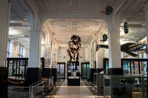 8 Of The Best Museums in Manchester - Secret Manchester