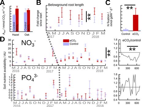 birmingham institute  forest research  air carbon enrichment