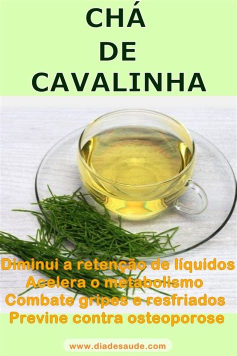 Cavalinha Benef Cios Como Fazer O Ch Contraindica Es Cavalinha