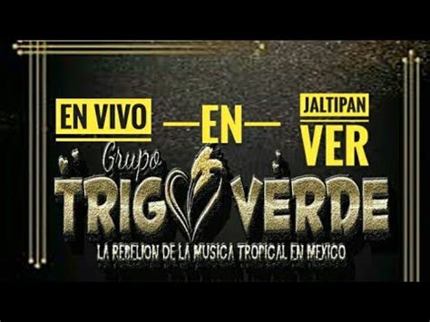 GRUPO TRIGO VERDE EN JALTIPAN VERACRUZ YouTube