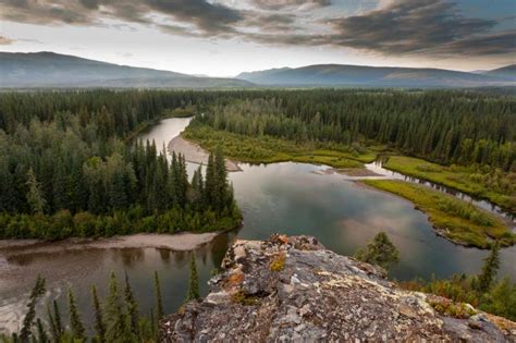 Taiga Fun Facts | Sciencing