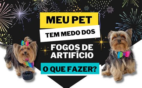 Meu pet tem medo dos fogos de artifício o que fazer Eu Você e os Pets