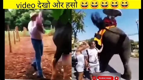 Comedy Video हेर्नेका ओर मजे लेनेका ।। हसो हसो मजेसे हसो Crazy Fun