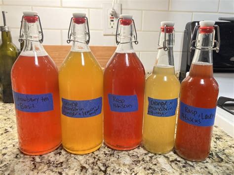 So Excited For My F2 Flavors R Kombucha