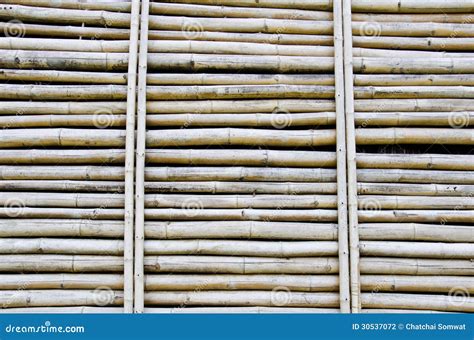 Dry Bamboo Stock Photo Image Of Brown Natural Bamboo 30537072