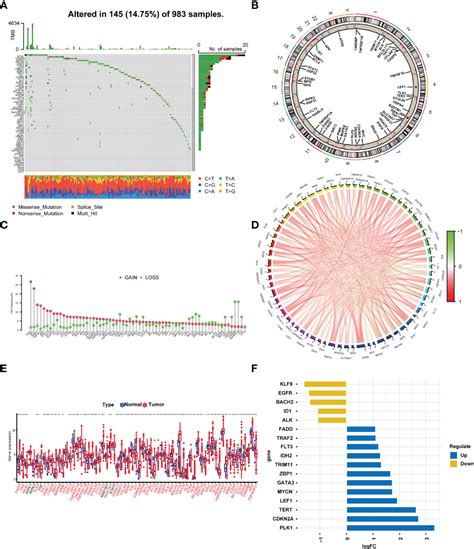 Frontiers Necroptosis Related LncRNAs Signature And Subtypes For