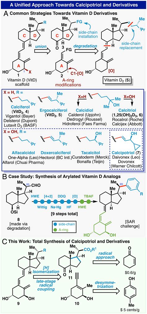 Vitamin D History