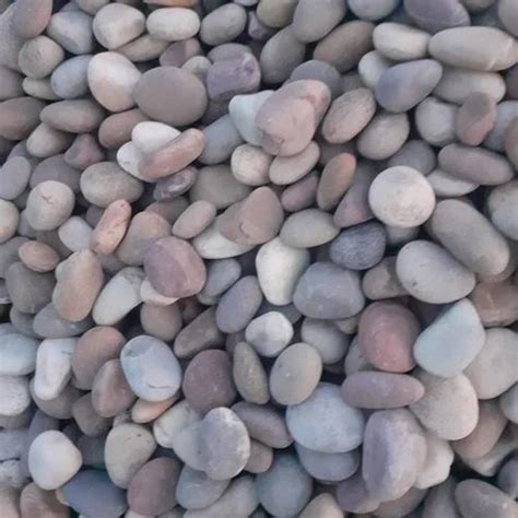 Multicolor Tumbled Landscaping River Pebble Stone At Best Price In Radaur