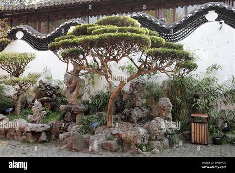 Traditional chinese architecture in Yuyuan Garden, Shanghai China Stock ...