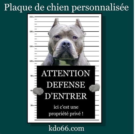 Plaque Danger chien de garde en aluminium à personnaliser