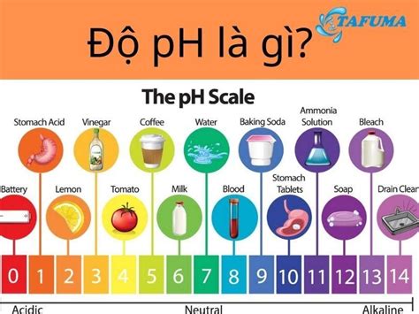 Ph L G C Ch X C Nh V I U Ch Nh Ph B N N N Bi T