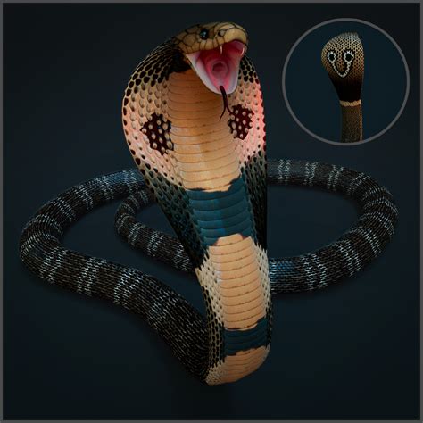 ArtStation - Spectacled Cobra With Animation | Resources