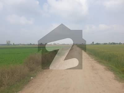 Kanal Farm House Land Ideal Location In Bedian Road Jahman Bedian