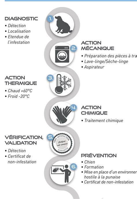 Guide pratique les étapes pour éliminer les punaises de lit