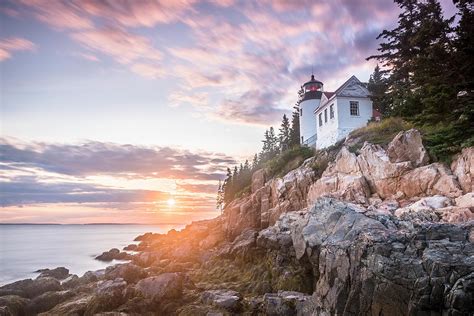 Bar Harbor Head Lighthouse At Sunset Photograph by Cate Brown - Fine ...