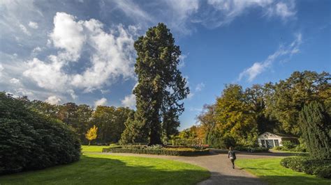 Ledeboerpark Behoort Tot De Vijf Mooiste Parken Ter Wereld Twente