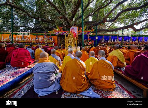 India Bihar Bodhgaya Unesco World Heriatge The Mahabodhi Temple