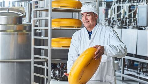 Cheese Solutions I For Optimized Production with Chr. Hansen