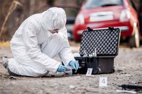 How To Become A Crime Scene Investigator Inmateseducation