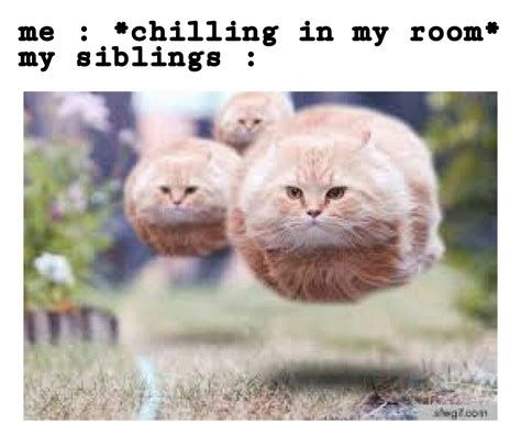 Get The Fuck Out Of My Room I M Playing Minecraft R Memes