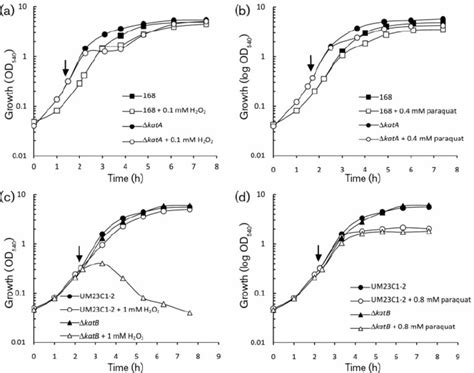 Growth Of B Subtilis And Its D Soda Mutant A B And B Anthracis And