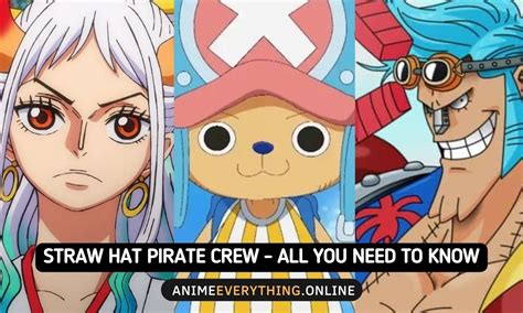 Straw Hat Pirate Crew Members – All You Need to Know – Anime Everything ...