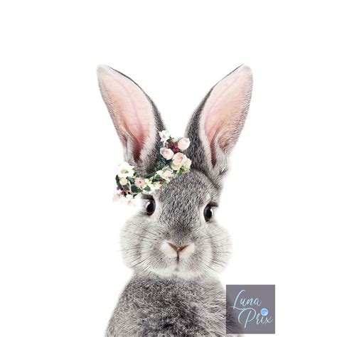 Cute Bunny Crown