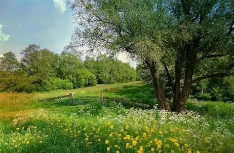 U Srbiji sutra pretežno sunčano i toplije vreme temperatura do 30