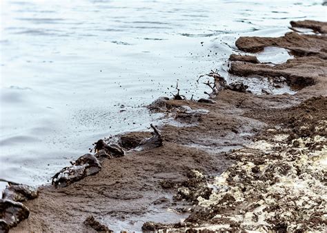 Muddy Sea Shore Photograph By Silvia Marcoschamer Fine Art America