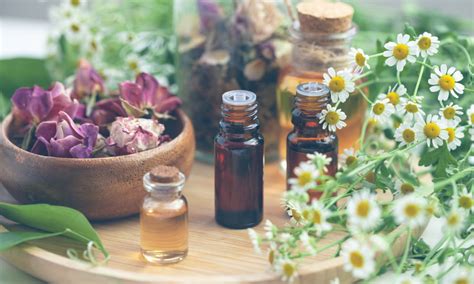 Aromatherapy Advanced Diploma John Academy