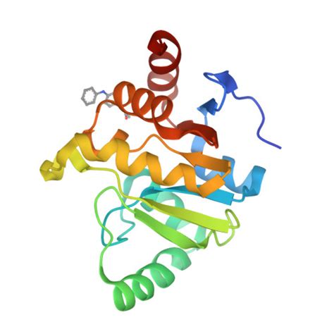 RCSB PDB 5S35 PanDDA Analysis Group Deposition Crystal Structure