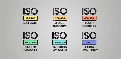 ISO in Photography: Guide for Beginners