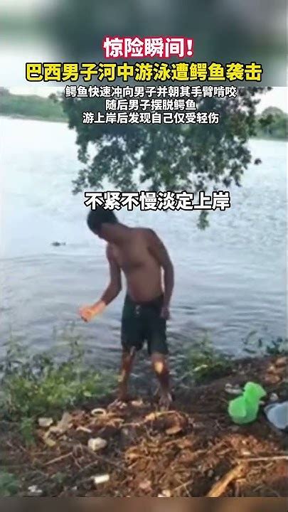 惊险瞬间！巴西男子河中游泳遭鳄鱼袭击。 Youtube