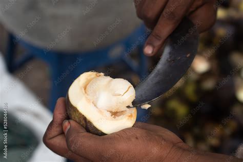 Hand Holding Cutting Or Peeling Fresh Indian Ice Apple A Palm Fruit ...