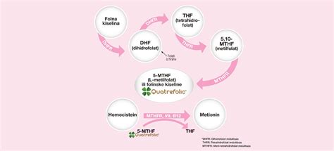 Dafnefol Vemax Pharma