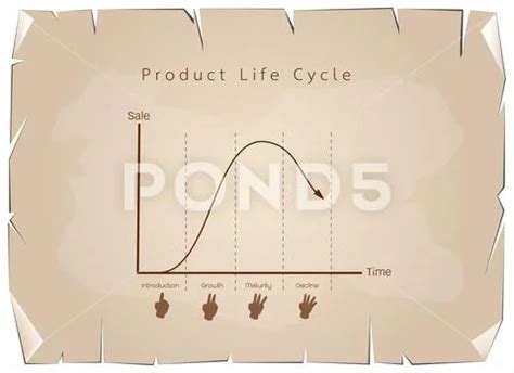 Marketing Concept Of Product Life Cycle Graph Chart Royalty Free