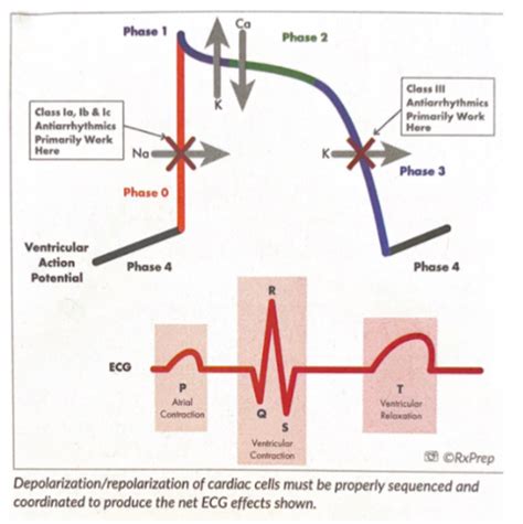 Arrhythmias Supra Ventricular Ventricular Qt Prolongation Tornadoes