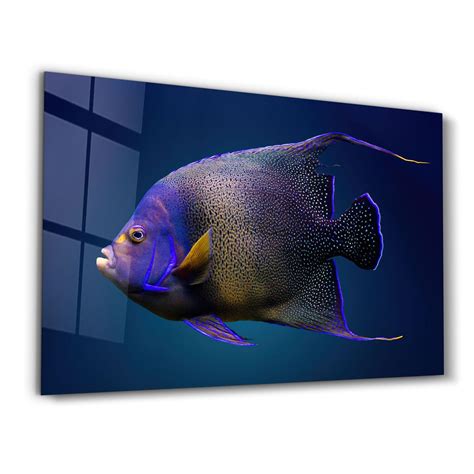 wall art of fish 1