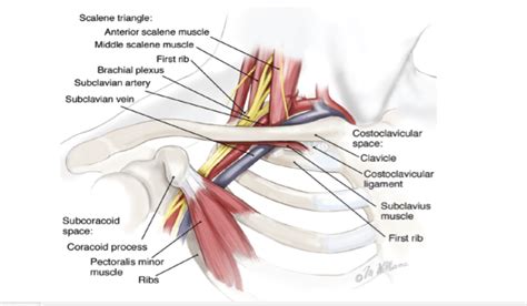 ᐉ Neck Pain Treatments Mississauga Chiropractic Care for Neck Pain