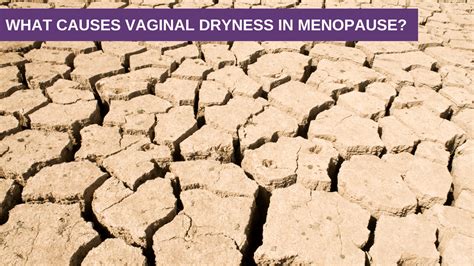 What Causes Vaginal Dryness in Menopause? - Genesis Gold