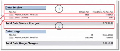 Billing Invoice Overview Example Invoices With Domestic Solutions