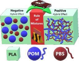 基于原位形成互穿纤维网络的混合 PLA PBS POM 复合材料的设计 Composites Part A Applied Science