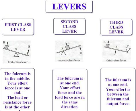 Physics For 7 Grade Physics Info