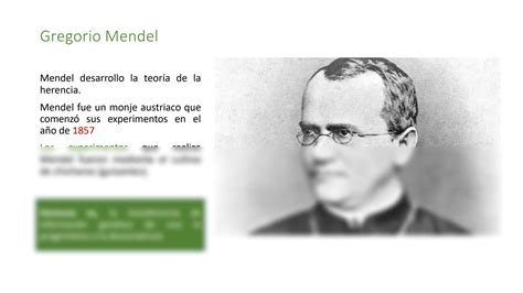 SOLUTION Tema 6 Herencia Leyes De Mendel Studypool