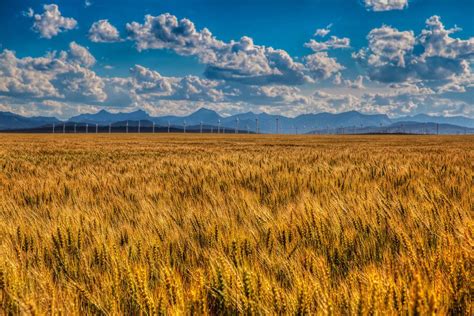 The Many Sights of Pincher Creek, Alberta | Mountain landscape photography, Landscape ...